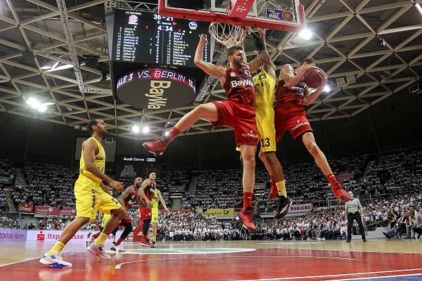 他们都不会 他们都不会